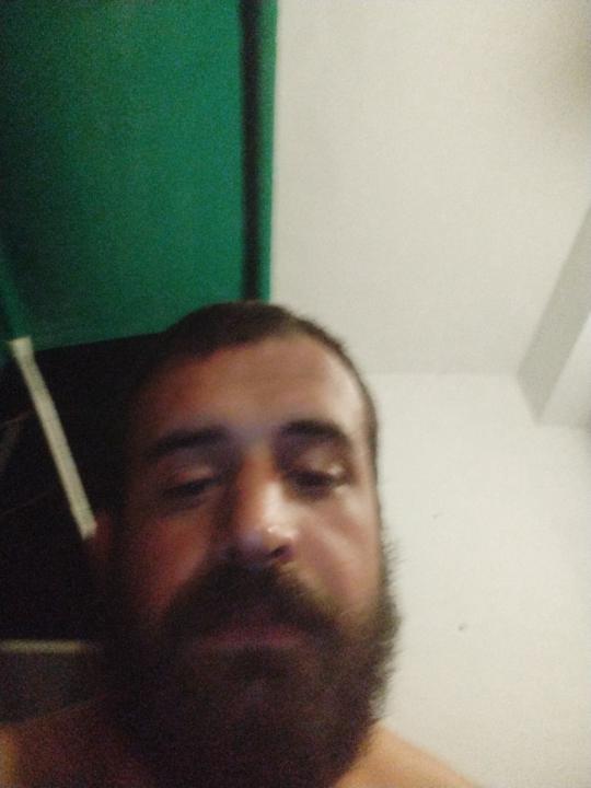 Guillem Mases Gavaldà