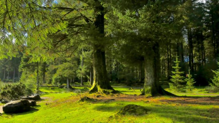 Brand New Video Uploaded in Tuesday Live Webinar Recordings.  