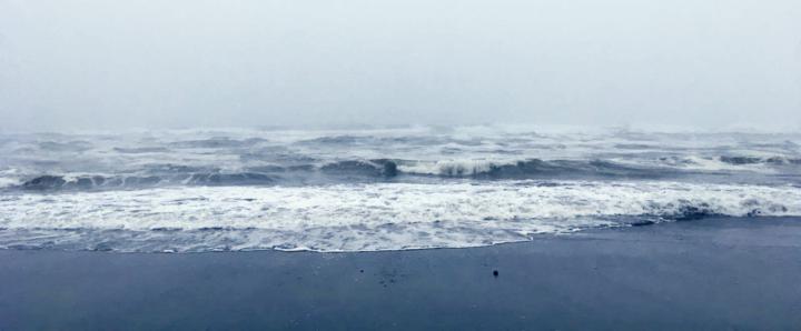 From Reference Photo To Painting 