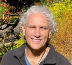 Rob Wilson