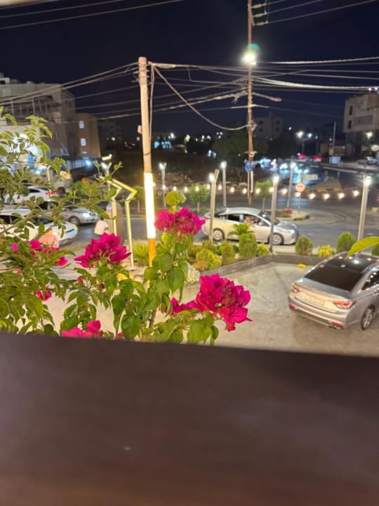 Asmaa Allhalili