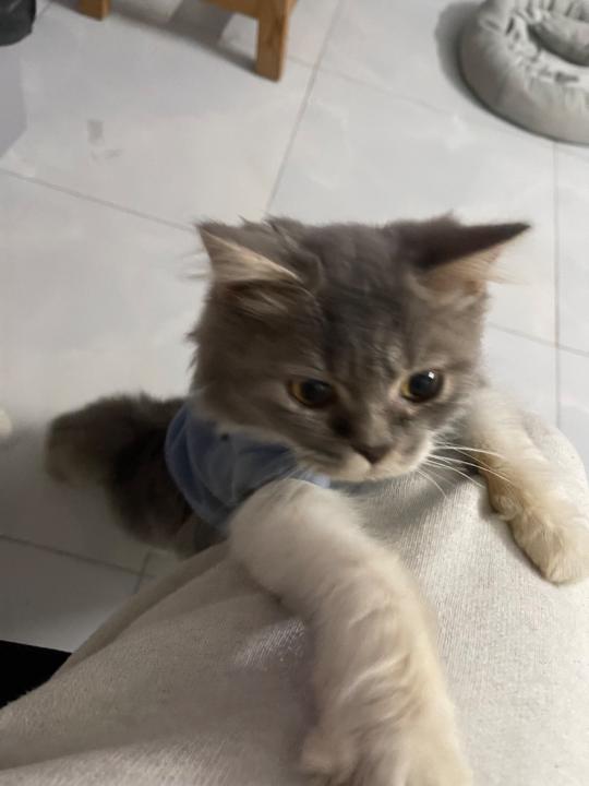 Trung Nguyễn Thành