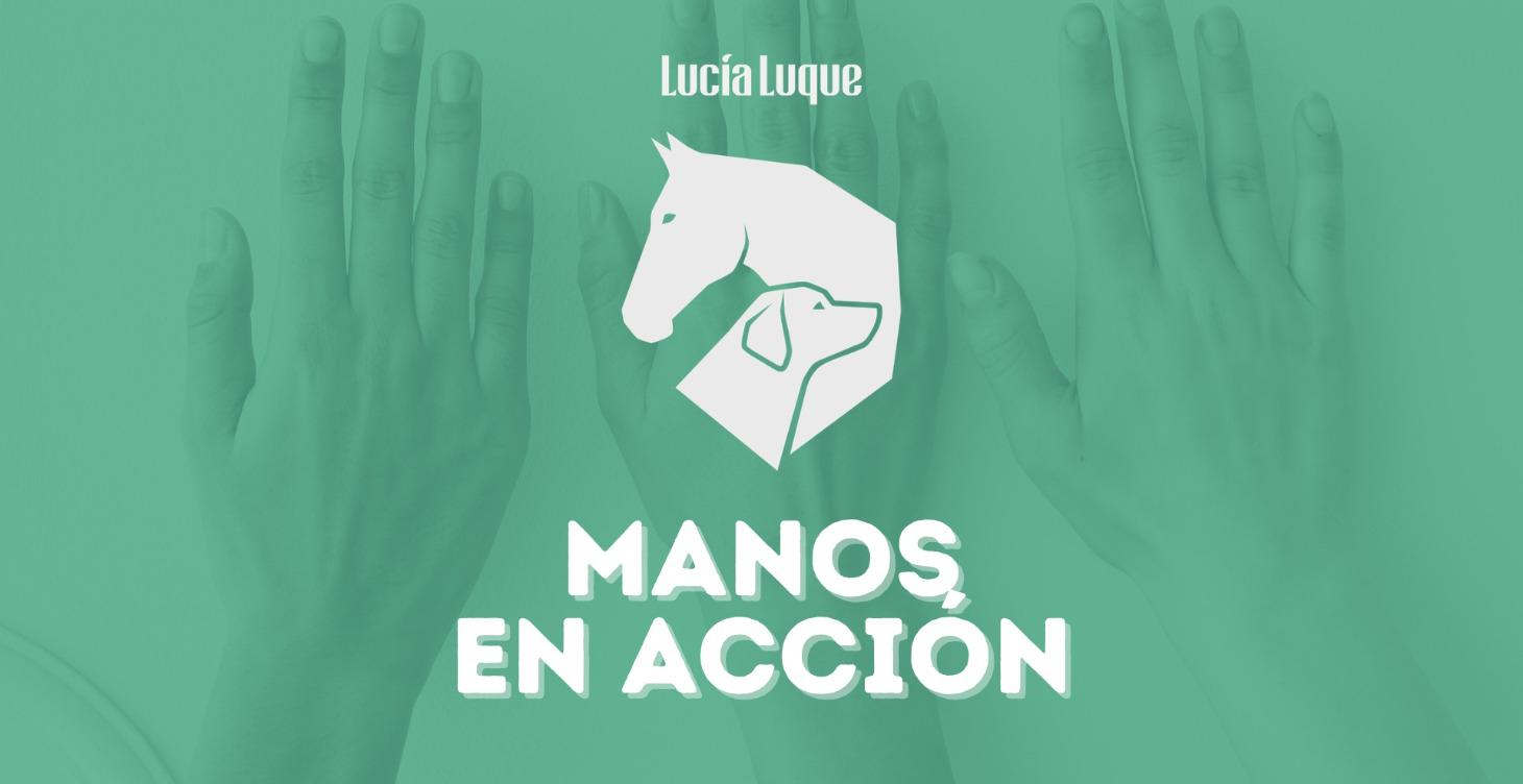 Manos en Accion