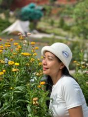 Kim Trần