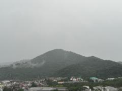 Chen Kiat Ng