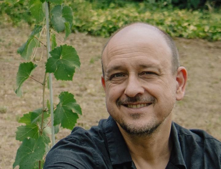 László Tőke