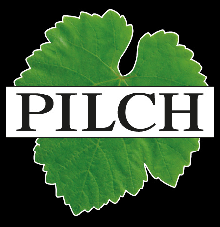 Reinhard Pilch