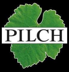 Reinhard Pilch