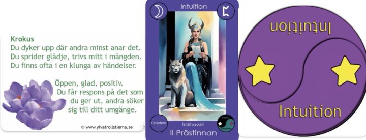 Krokus Prästinnan o lila energi