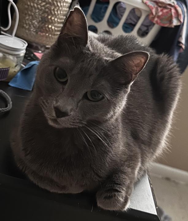 Feed me please!