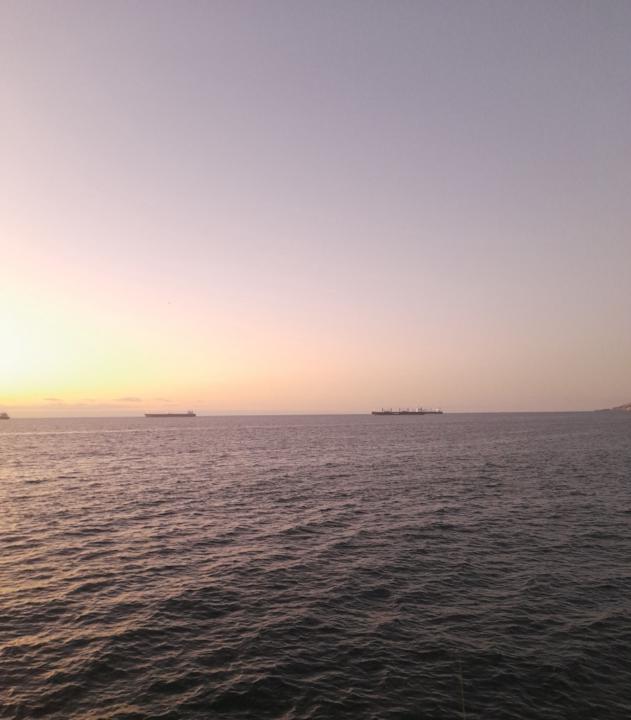 Maria paz Muraro montiel