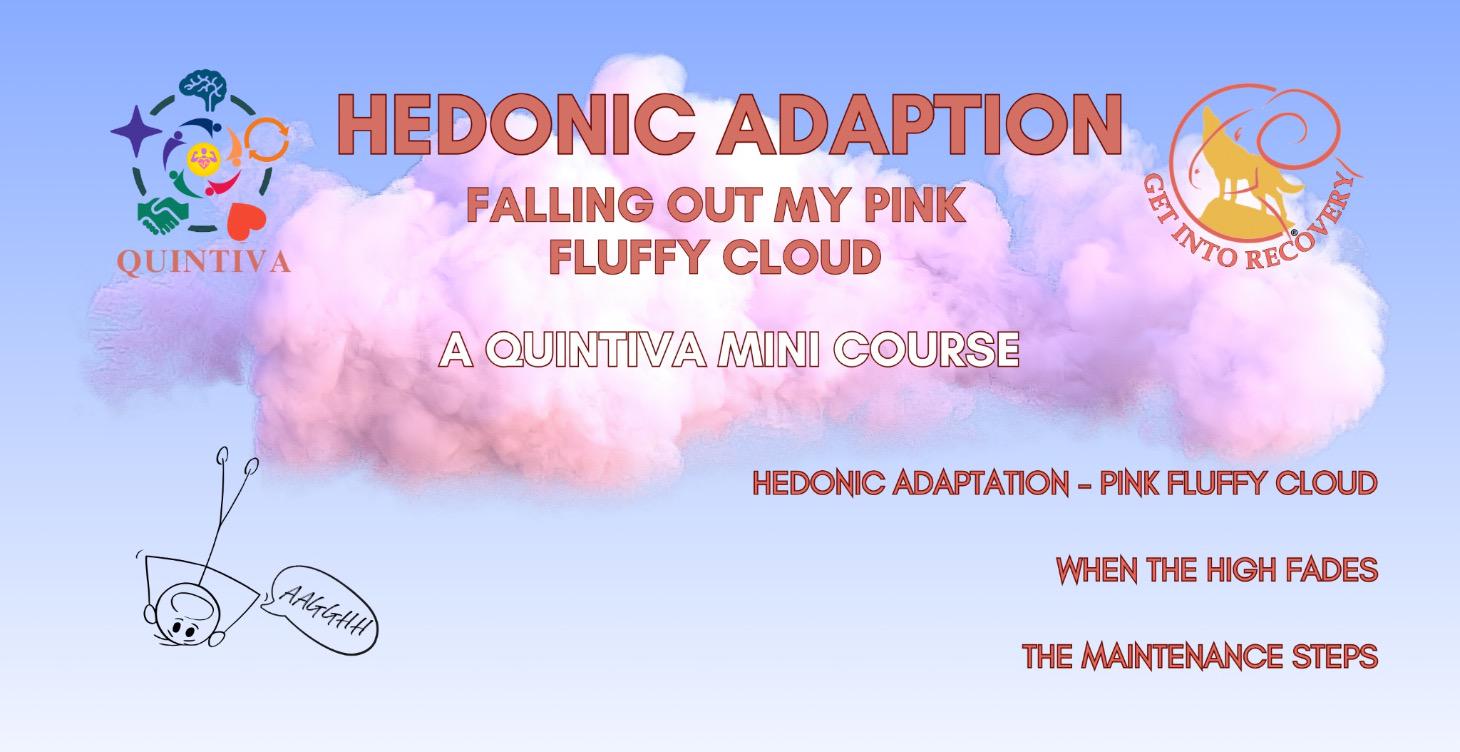 Hedonic Adaption (Pink Fluffy Cloud)