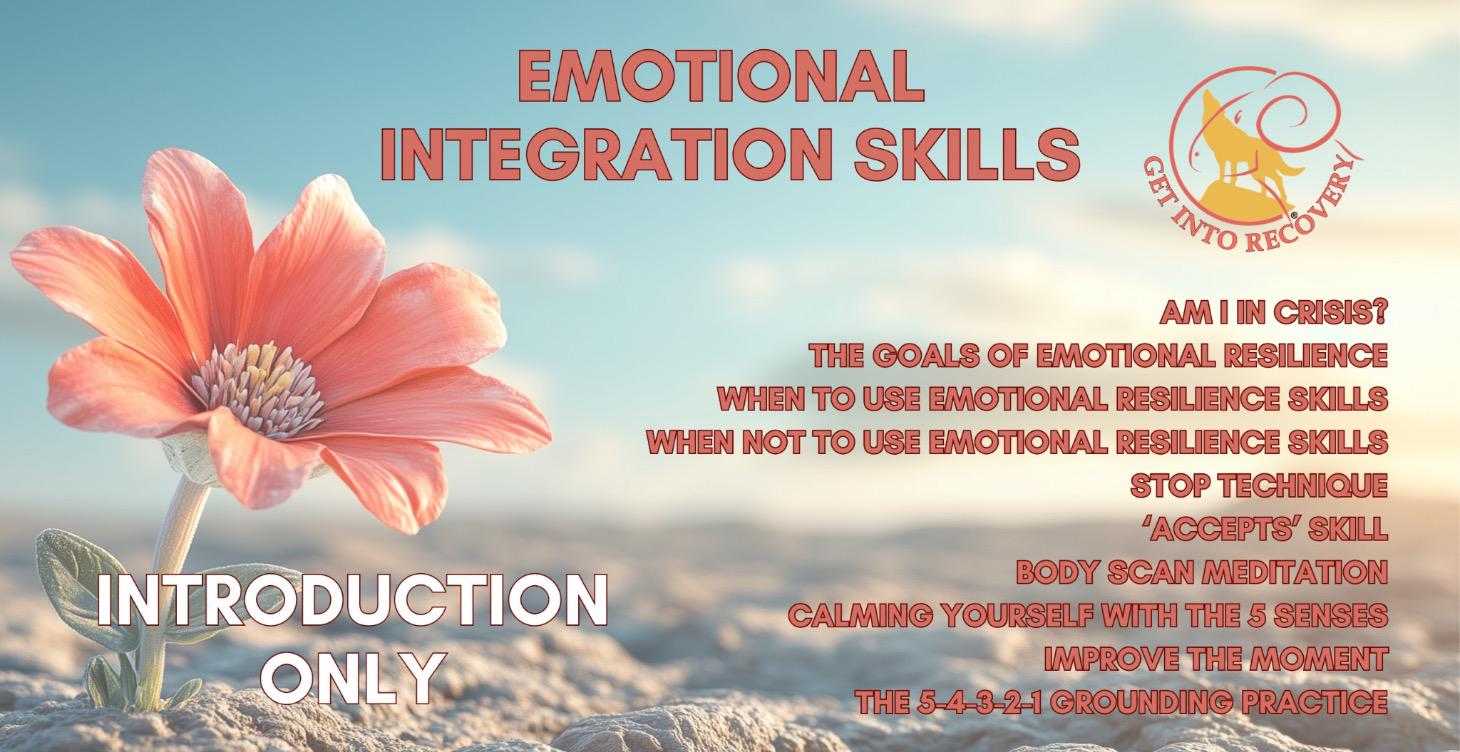 Emotional Integration Skills Introduction