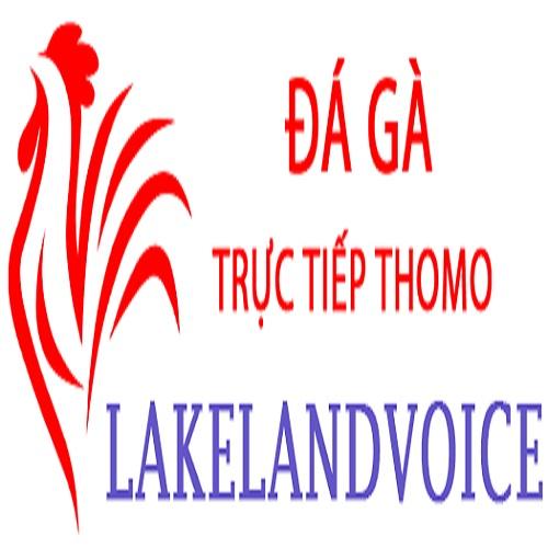 Đá Gà Trực Tiếp Thomo