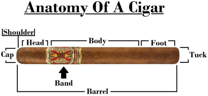 The Makeup of a Cigar