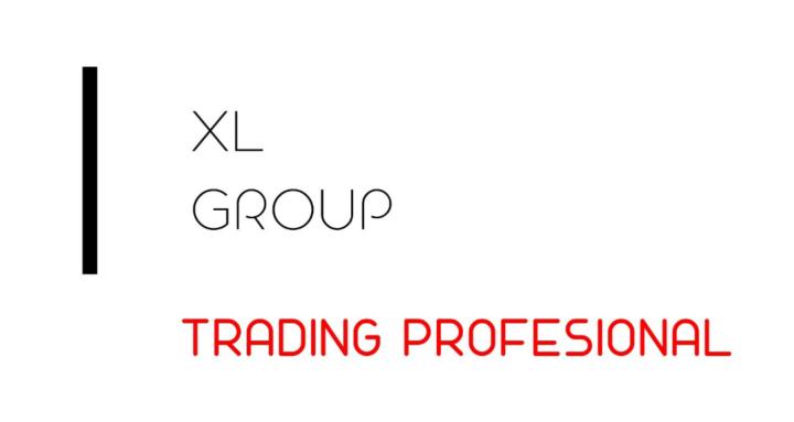 XL TRADING GROUP