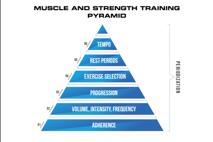 The Hierarchy of Different Variables to Take into Account When Designing a Program for Strength or Hypertrophy -2.