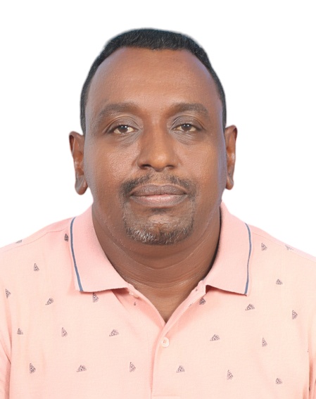 Hisham Hussein