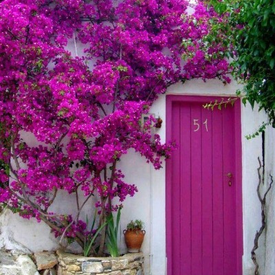 Estefania Orlando Blinkhorn