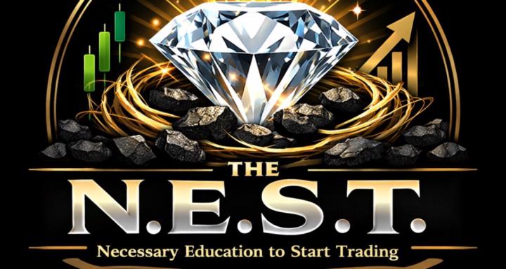 The N.E.S.T