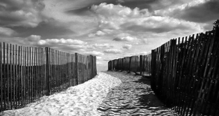 The Analog Photography Room