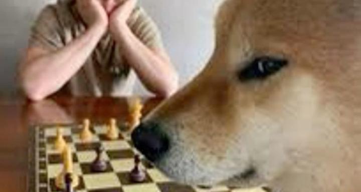 Chess Road Map to 1000‼️