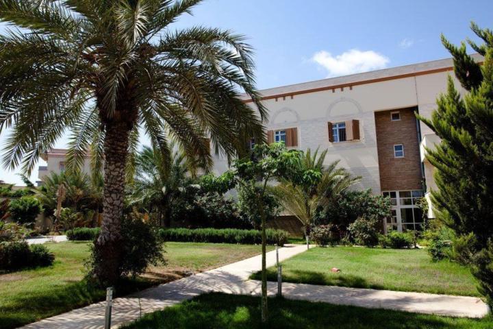 Abdallah Elsheikha