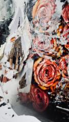 Matt Rawlingson
