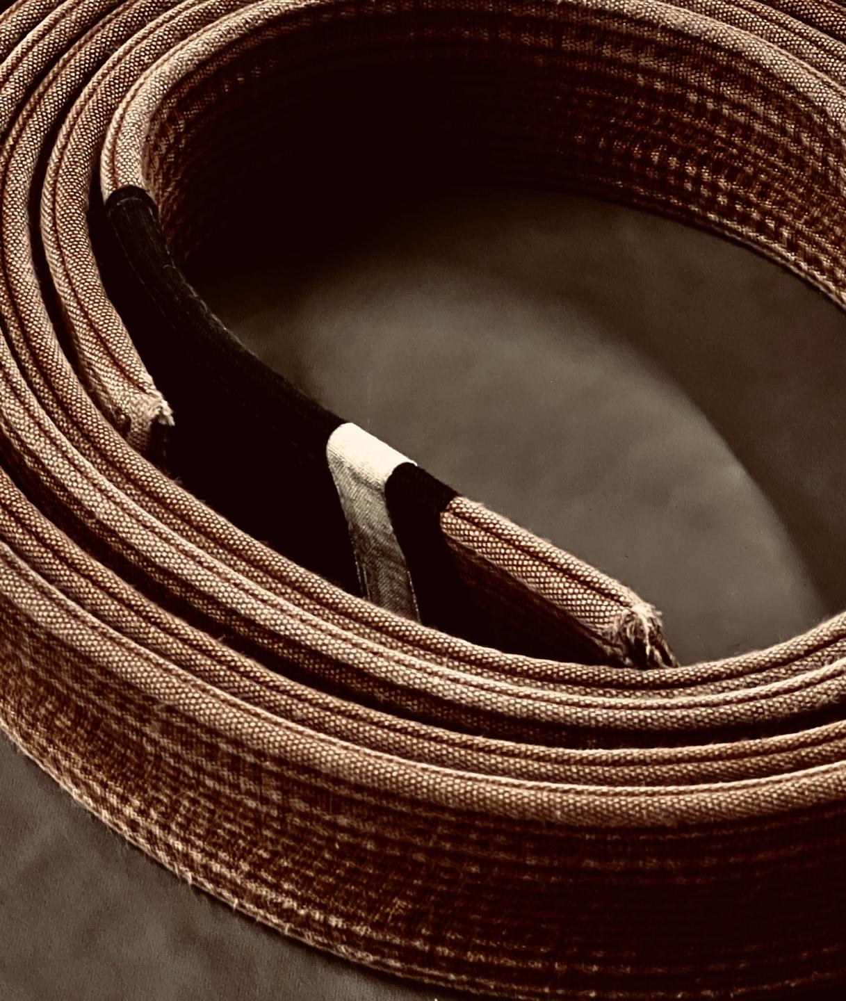 Qi in the Gi 🥋
