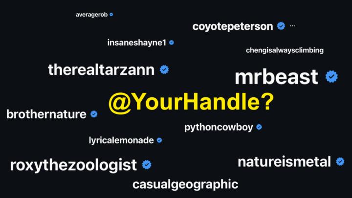 How To Find Your Perfect Instagram Name ?