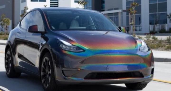 Freelance Photography 