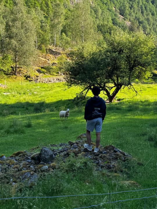 Sanjok Budha