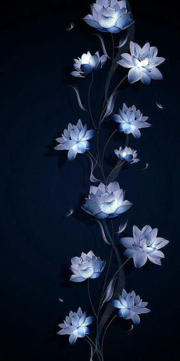 Chantel Wills
