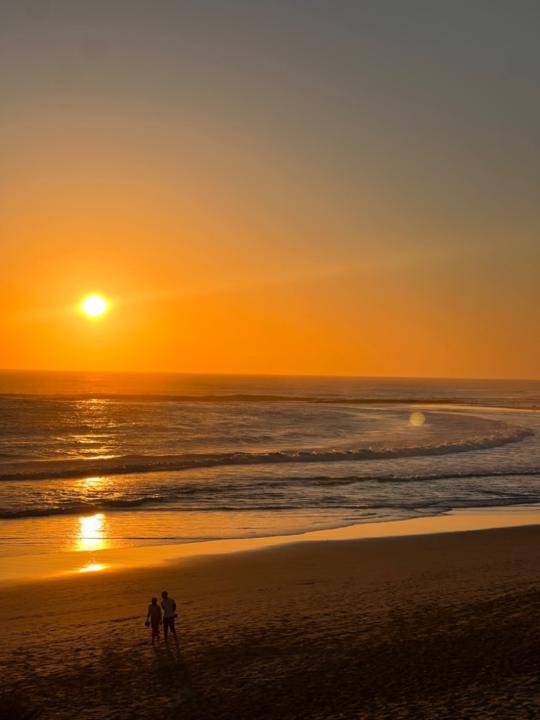 Amy-Lee Janse van Rensburg