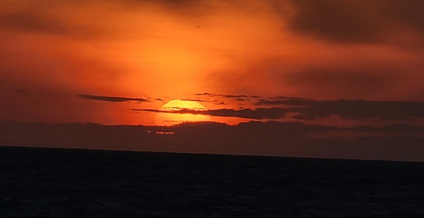 Personalized 1 on 1 Training 6 month Program