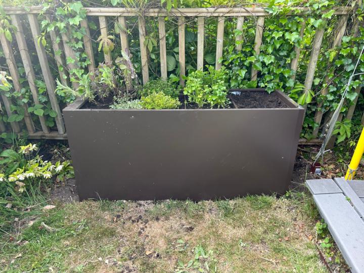 Herb garden (in a filing cabinet)