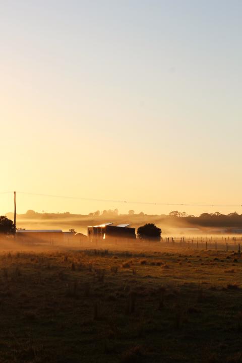 Something I like Besides Gardening!