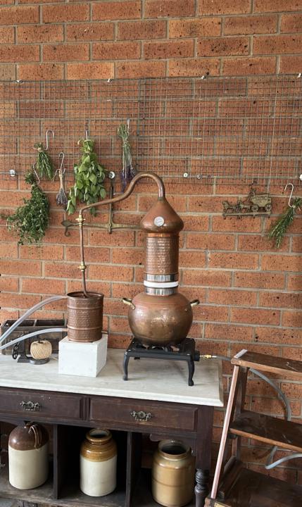 One of my fav spots in my backyard