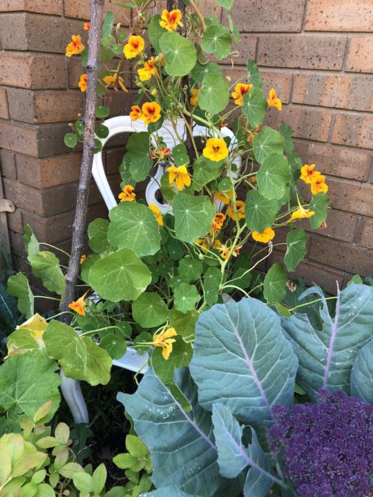 2025 was quite a year!