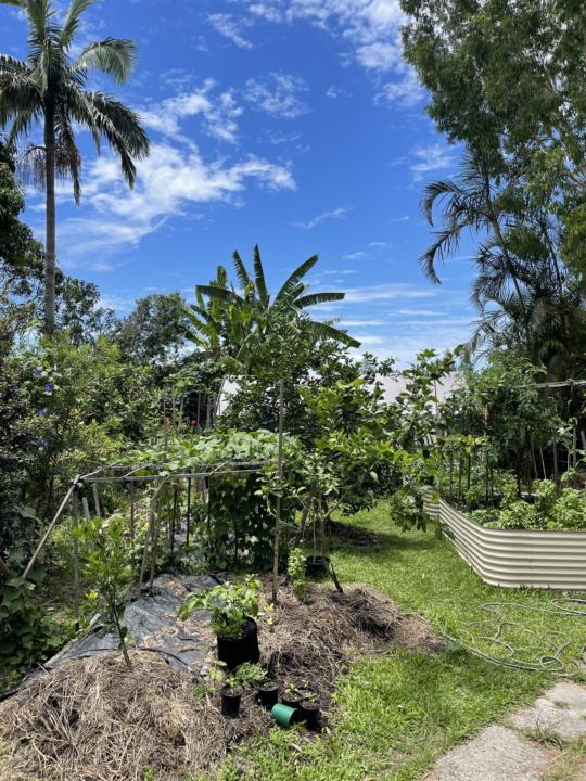 Do you have a garden photo to share?