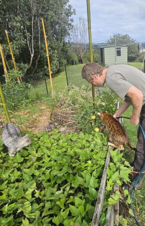 Happy holidays and silly season everyone!