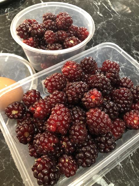 Bring on the berries!