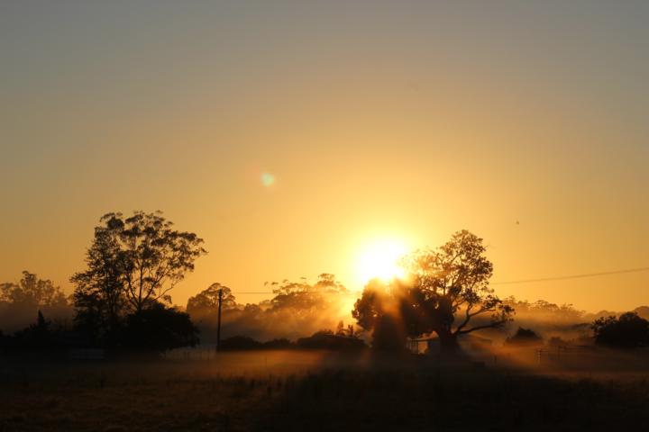 SOMETHING VERY SPECIAL