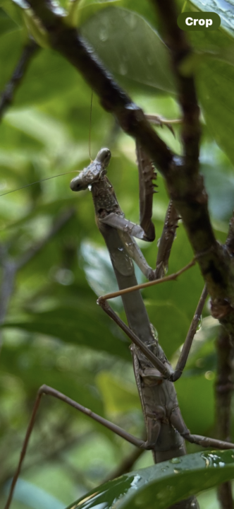 Say hello to my little friend 