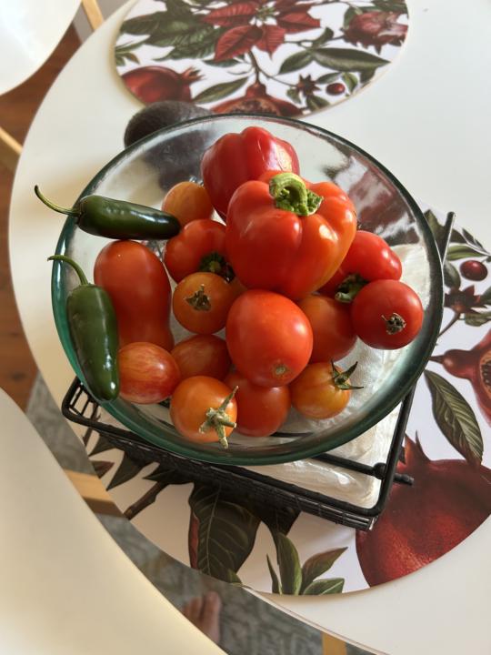 Some of my potted produce 