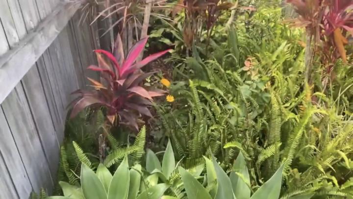 Garden Transformation 