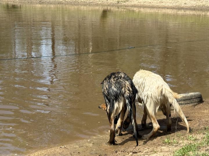 The boys enjoy their swim and treats 