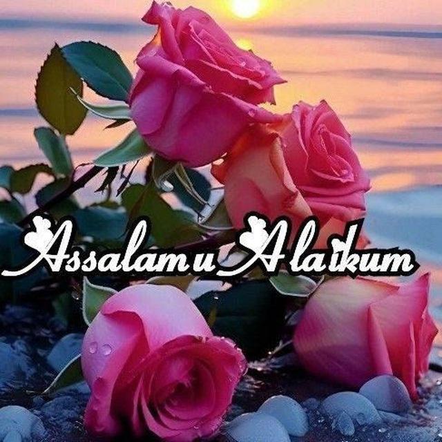 Zaynab Ameen