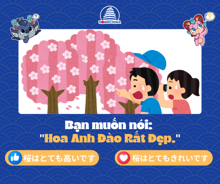 Từ Vựng Hằng Ngày