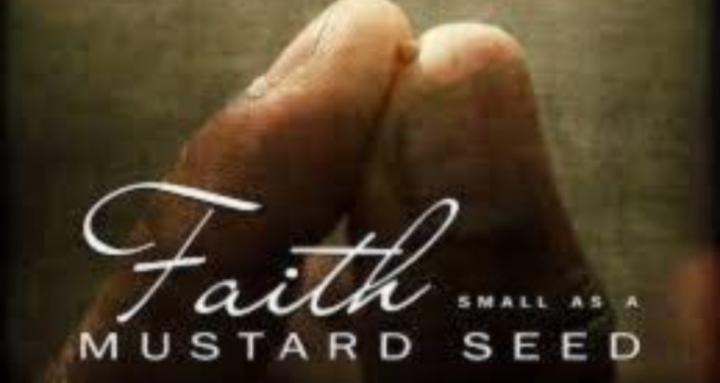 Moms of Mustard Seed Faith